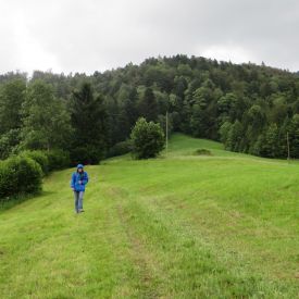 Abteilungsübung 2016_3