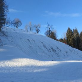 Biberübung 2016_17