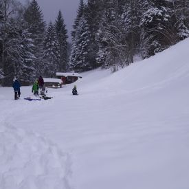 Biberübung 2017_2