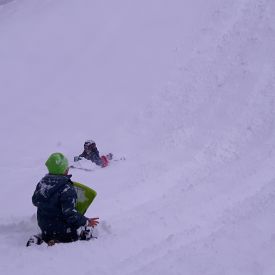 Biberübung 2017_4