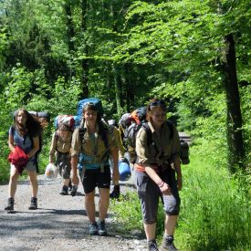 Pfila2012_13
