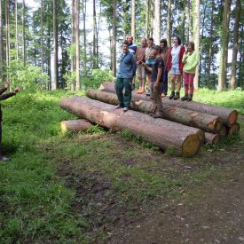 Pfila2012_53