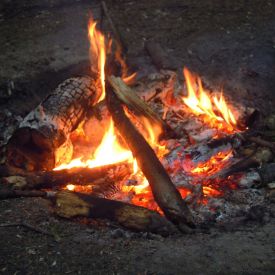 Pfila2012_54