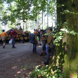 Pfila2012_84