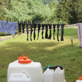 SoLa 2011_2