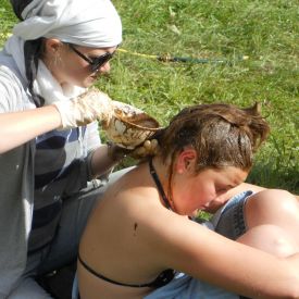 SoLa 2011_6
