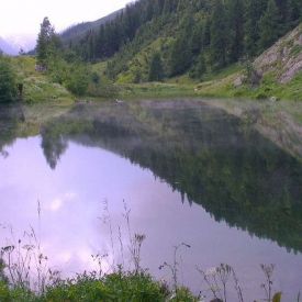 SoLa 2012_114