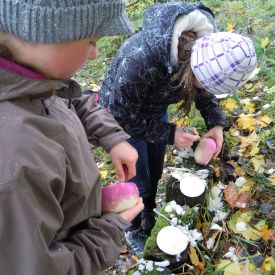 Pfadiübungen 2012_12