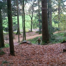 Pfadiübungen 2013_60
