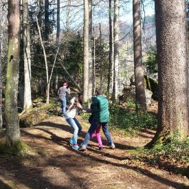 Pfadiübungen 2015_25