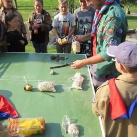 Pfadiübungen 2017_26