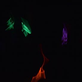 HeLa 2014_63