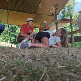 sola2018woelfe_23