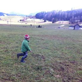 Übungen 2014 Wolfsstufe_15