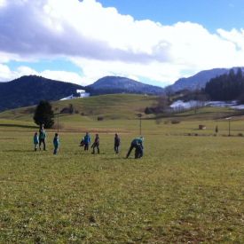 Übungen 2014 Wolfsstufe_17