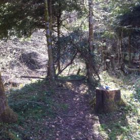 Übungen 2014 Wolfsstufe_29