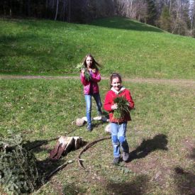 Übungen 2014 Wolfsstufe_31