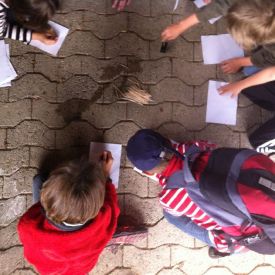 Übungen 2014 Wolfsstufe_9