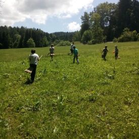 Übungen Wolfsstufe 2015_10