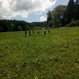 Übungen Wolfsstufe 2015_12
