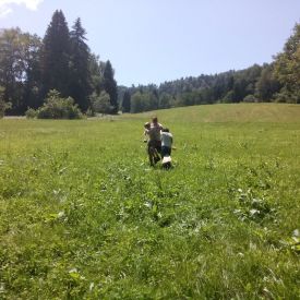 Übungen Wolfsstufe 2015_13