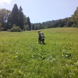 Übungen Wolfsstufe 2015_14